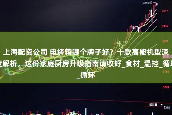 上海配资公司 电烤箱哪个牌子好？十款高能机型深度解析，这份家庭厨房升级指南请收好_食材_温控_循环